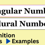 Singular Number and Plural Number : Noun, Pronoun