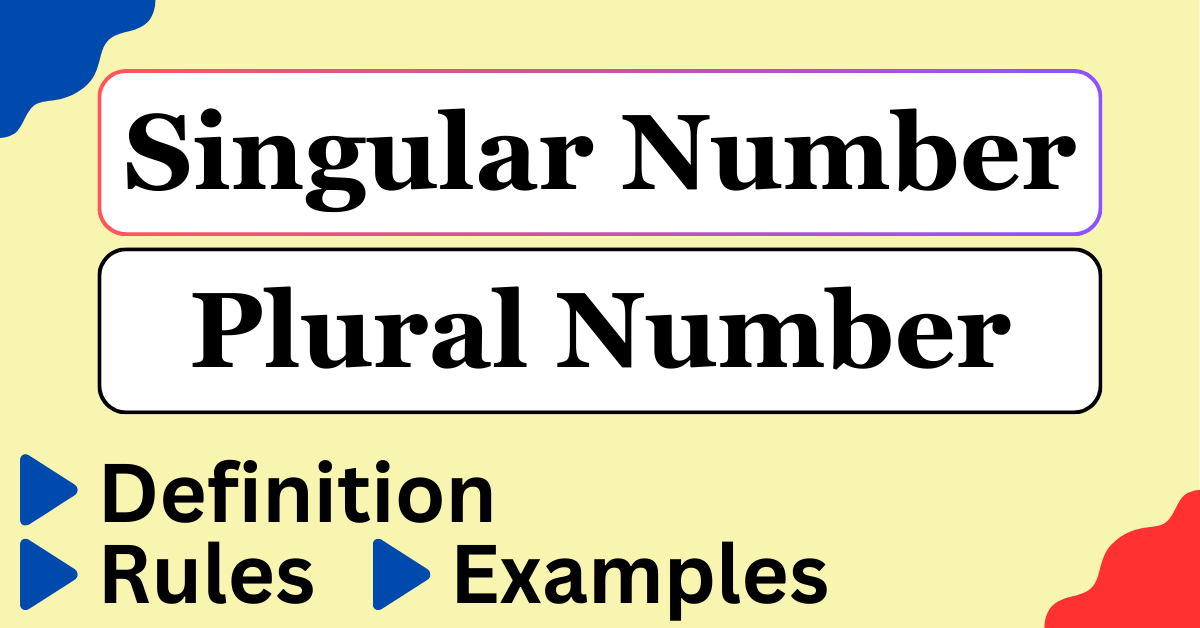 Singular Number and Plural Number : Noun, Pronoun