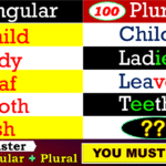 Singular and Plural words