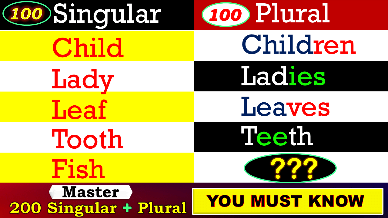 Singular and Plural words